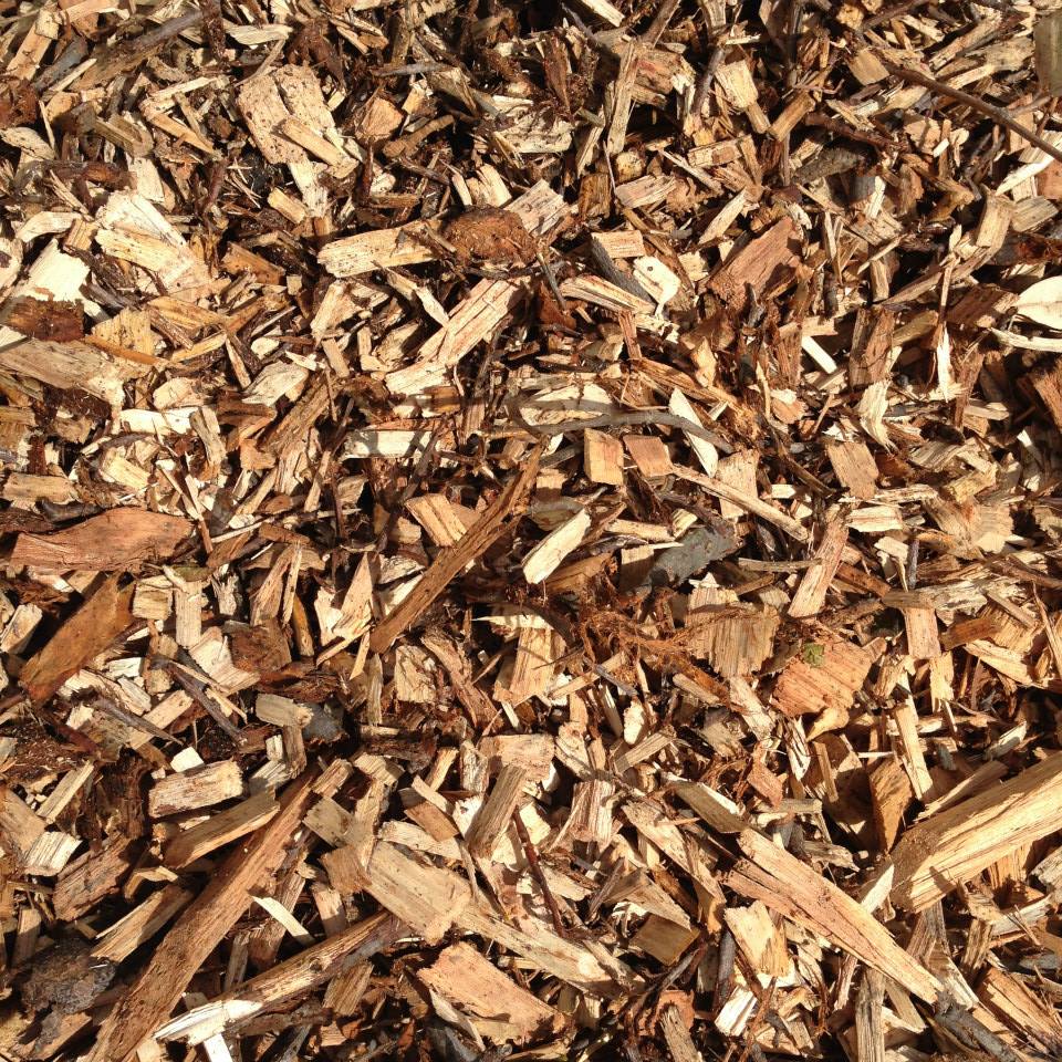 FOREST_MULCH_NEW